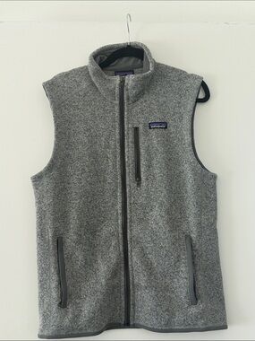 Patagonia Gray Men's Full-Zip Fleece Vest